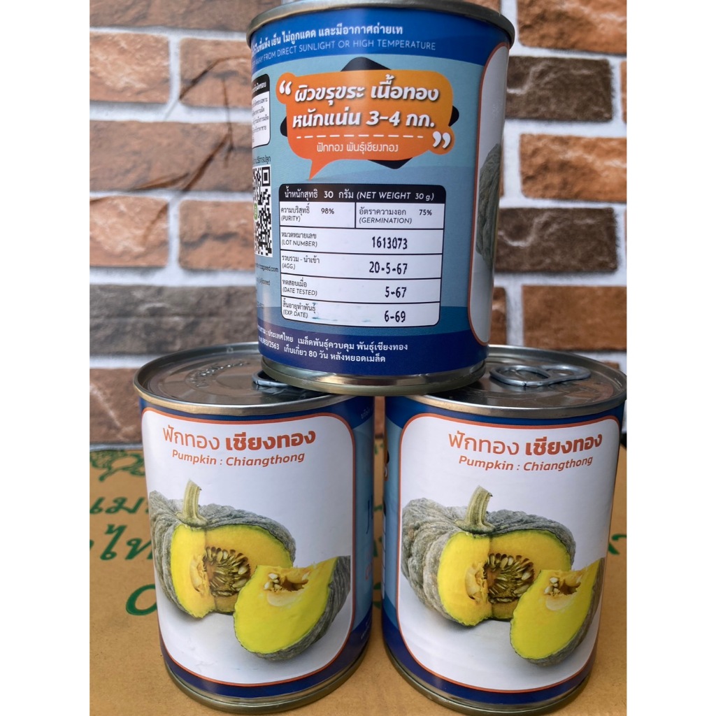 ฟักทอง🔥 เชียงทอง🔥  เนื้อสีทอง 🔥 ผิวขรุขระ 🔥 ลูำกใหญ่ ๆๆๆๆ 🔥สิ้นอายุทำพันธุ์   06 / 69🔥 - รูปที่ 5