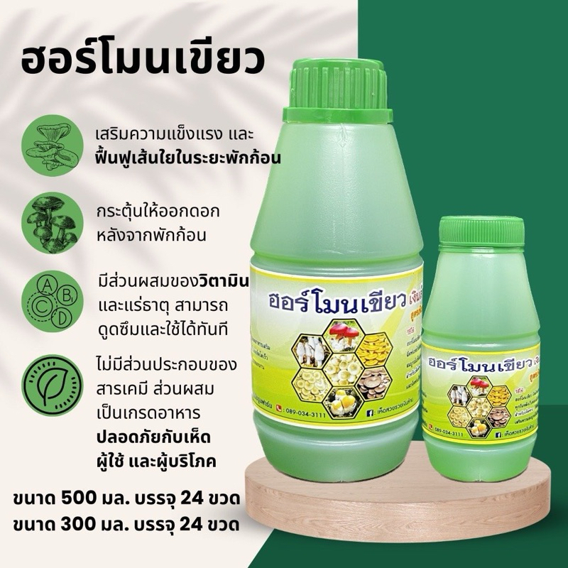 ฮอร์โมนเขียว สำหรับเห็ดฟาง เสริมความแข็งแรง และ ฟื้นฟูเส้นใยในระยะพักก้อน