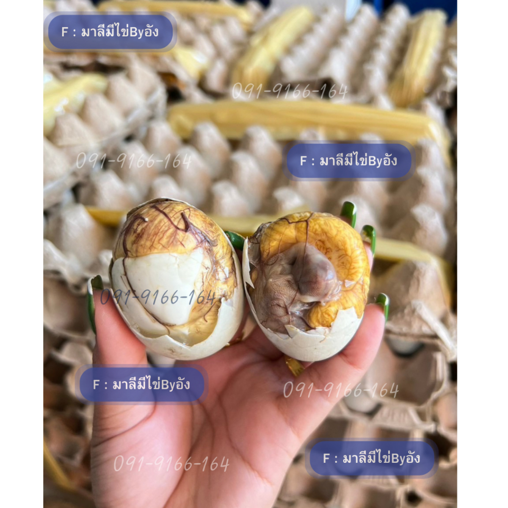 ส่งเร็ว‼️ไข่ลูกเป็ดเวียดนาม ระยะ 2 ตรงปกไม่จกตา-ยกแผง 30 ฟองได้น้ำจิ้มส่งฟรี