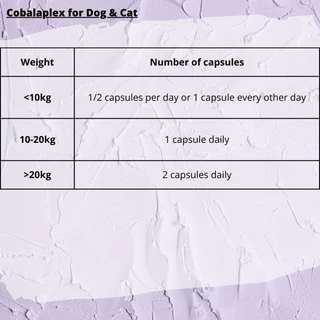 Synbiotic D-C for Dogs and Cats (50 capsules)