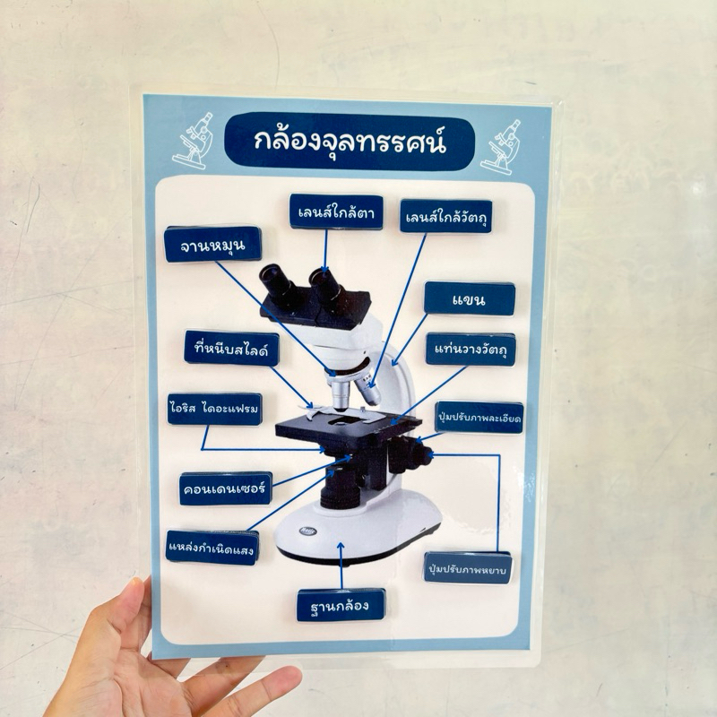 “ส่วนประกอบของกล้องจุลทรรศน์” สื่อการสอนวิทยาศาสตร์
