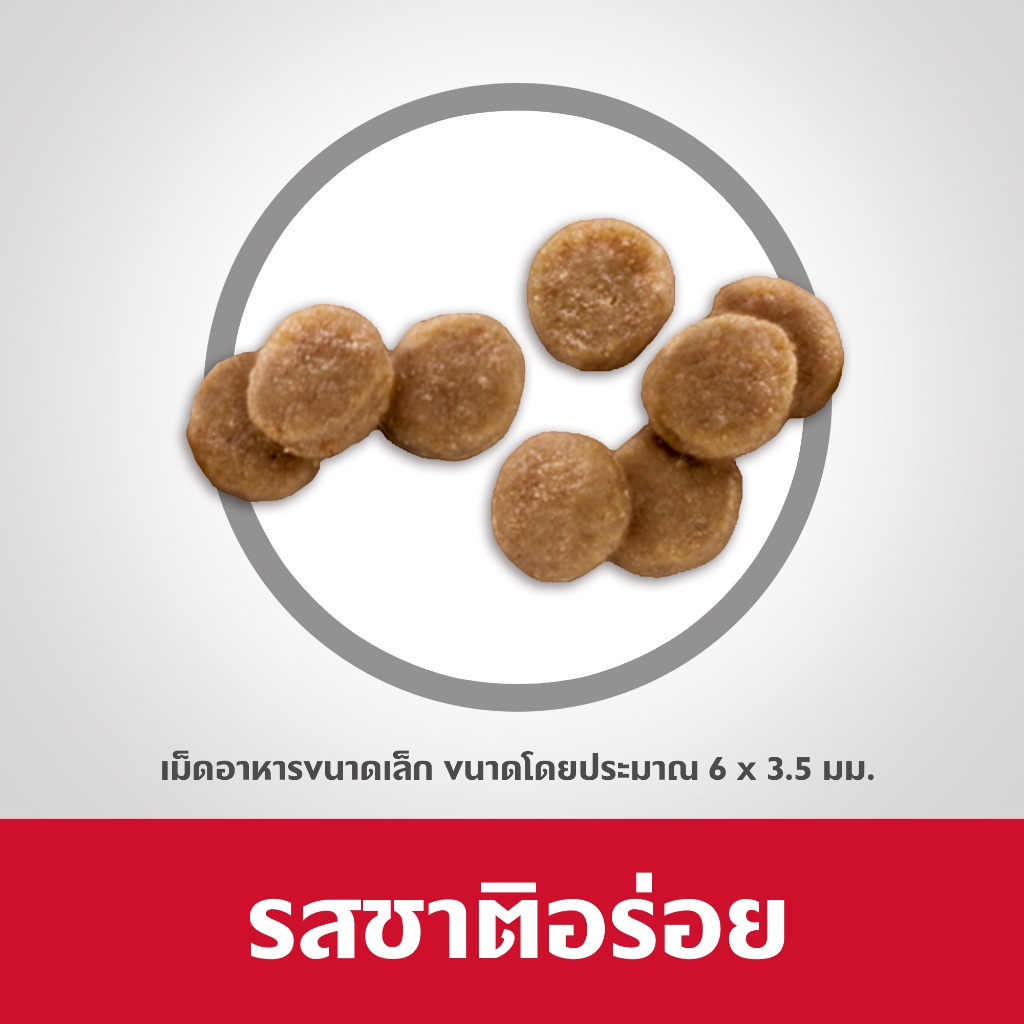 Hill's Science Diet Healthy Development Kitten feline อาหารลูกแมว สูตรเพื่อพัฒนาการที่แข็งแรง ขนาด 1.58 KG.
