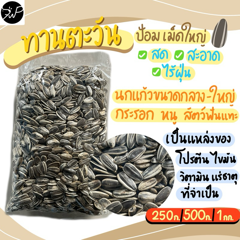 ทานตะวันเอ ป้อม ทานตะวันสัตว์เลี้ยง สด สะอาด ไร้ฝุ่น 🌻