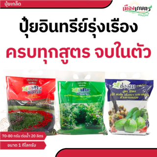 ปุ๋ยอินทรีย์อัดเม็ด ช่องาม สูตรเร่งผล บำรุงใบ เร่งดอก ขนาด 1 กิโลกรัม ออสโมโค้ท ปุ๋ย ปุ๋ยเม็ด เร่งผล ขยายผล เร่งใบ