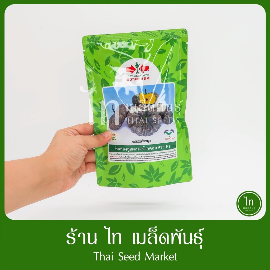 ฟักทอง ลายข้าวตอก ไฮพลัส F1 เมล็ดพันธุ์ ฟักทอง ลูกผสม ตราศรแดง บรรจุ 100 กรัม ผลใหญ่ 3-5 กก