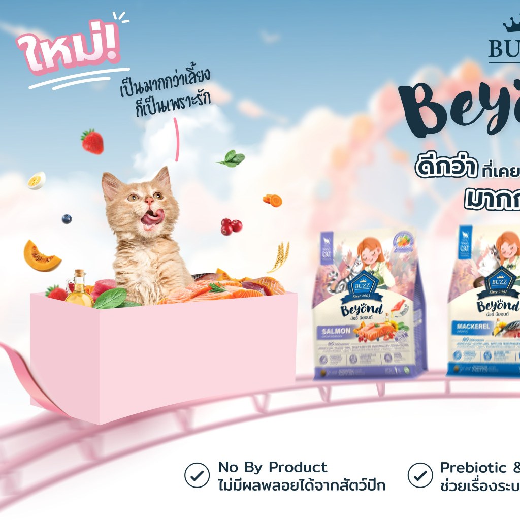 รูปภาพ 2