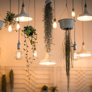 หลอดไฟวินเทจLED E27 กลม 4W 6W 8W แสงวอร์ม สีชาหลอดไฟและอุปกรณ์ไฟทรงเอดิสัน