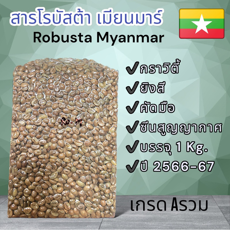 โรบัสต้า เมียนมาร์ คัดสะอาดMyanmar Robusta