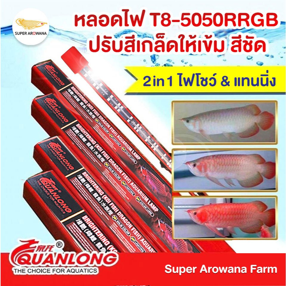หลอดไฟ LED T8-5050RRGB  ไฟตู้ ปลาสวยงาม น้ำไม่เปลี่ยนสี ปรับสีเกล็ดปลาให้เข้มสีชัดไวยิ่งขึ้น