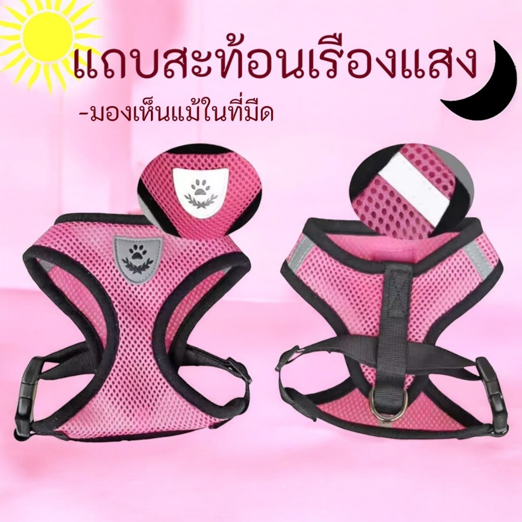เสื้อตาข่ายสายจูงรัดอกสัตว์เลี้ยง หมาแมว 4 สี 4 ขนาด ปรับขนาดได้ สำหรับสัตว์เลี้ยงขนาดเล็ก - รูปที่ 3