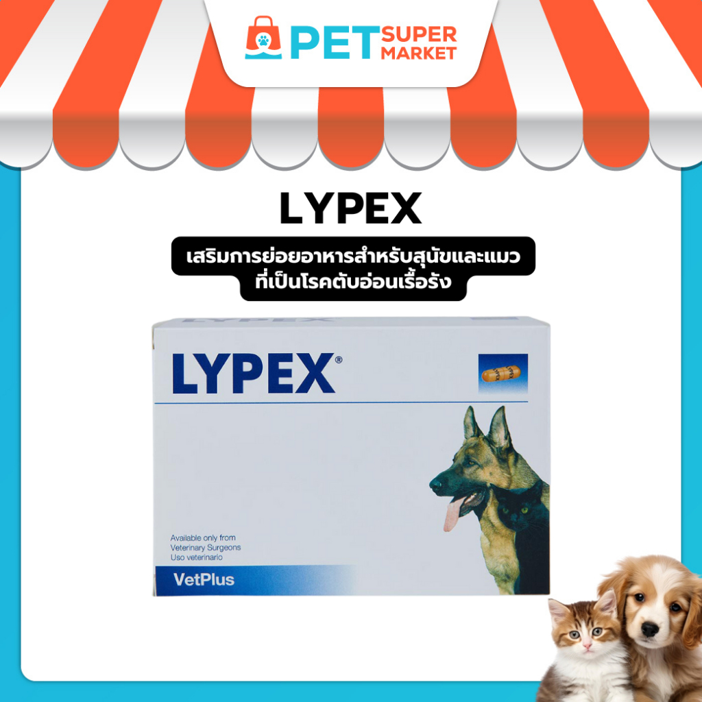 ขายดี Lypex ไลเป็กซ์ เสริมการย่อยอาหารสำหรับสุนัขและแมวที่เป็นโรคตับอ่อนเรื้อรัง 3 เดือน ขึ้นไป