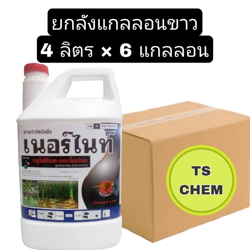 📦ยกลัง📦 เนอร์ไนท์ กลูโฟซิเนตแอมโมเนียม ตราจิงโจ้ทอง ขนาด 4 ลิตร มี 6 แกลลอน
