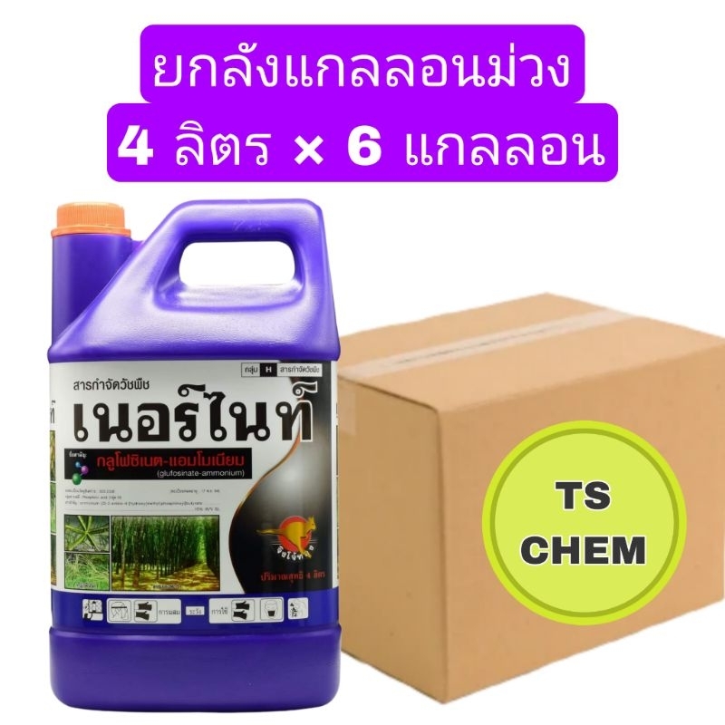 📦ยกลัง📦 เนอร์ไนท์ กลูโฟซิเนตแอมโมเนียม ตราจิงโจ้ทอง ขนาด 4 ลิตร มี 6 แกลลอน