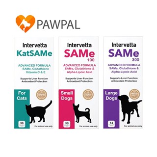 SAMe Intervetta  🔥Exp.2027 อาหารเสริม วิตามิน บำรุงตับ สัตว์…