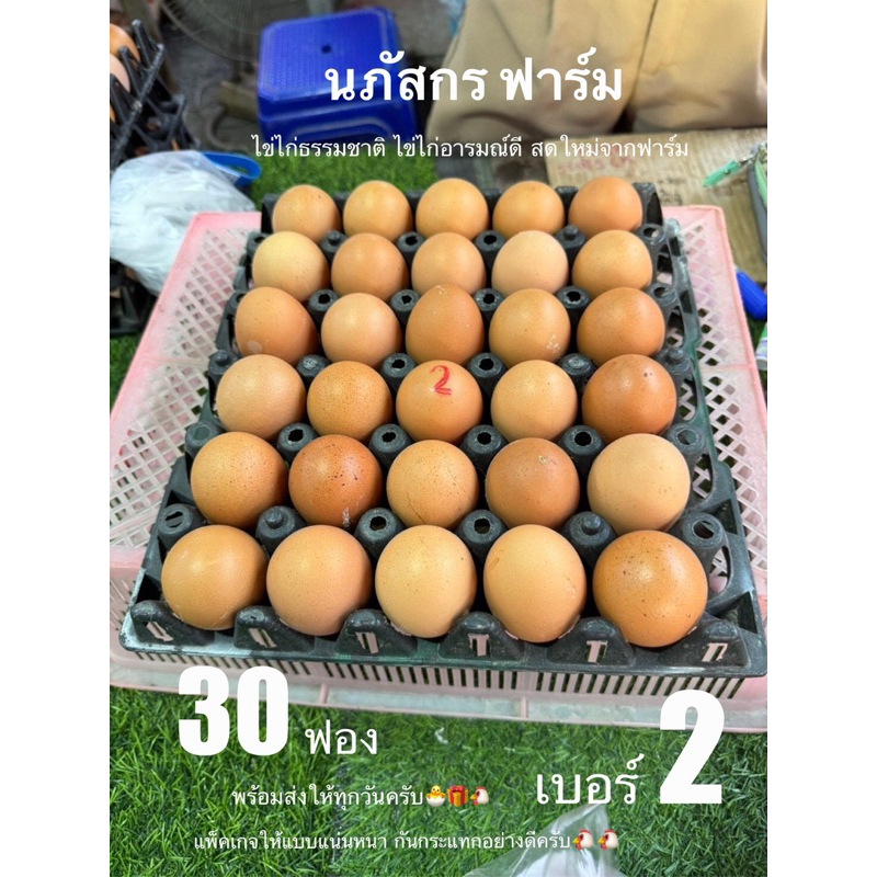 ไข่ไก่ ปลอดสารพิษ เบอร์2 (30ฟอง) เก็บจากฟาร์ม สดใหม่