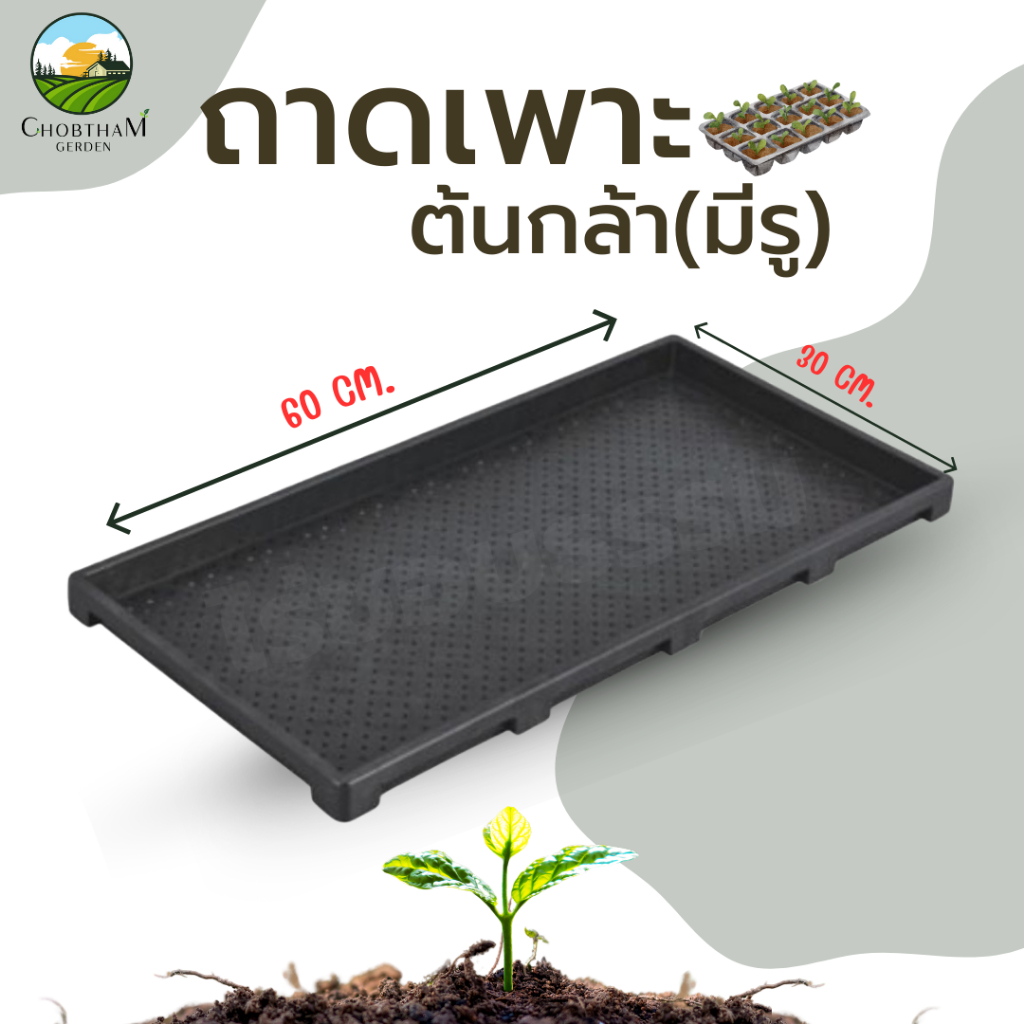 ถาดเพาะต้นอ่อน แบบมีรู ใช้เพาะต้นอ่อนทานตะวัน ถาดเพาะกล้า