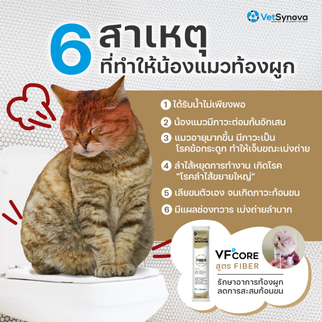 รูปภาพ 7