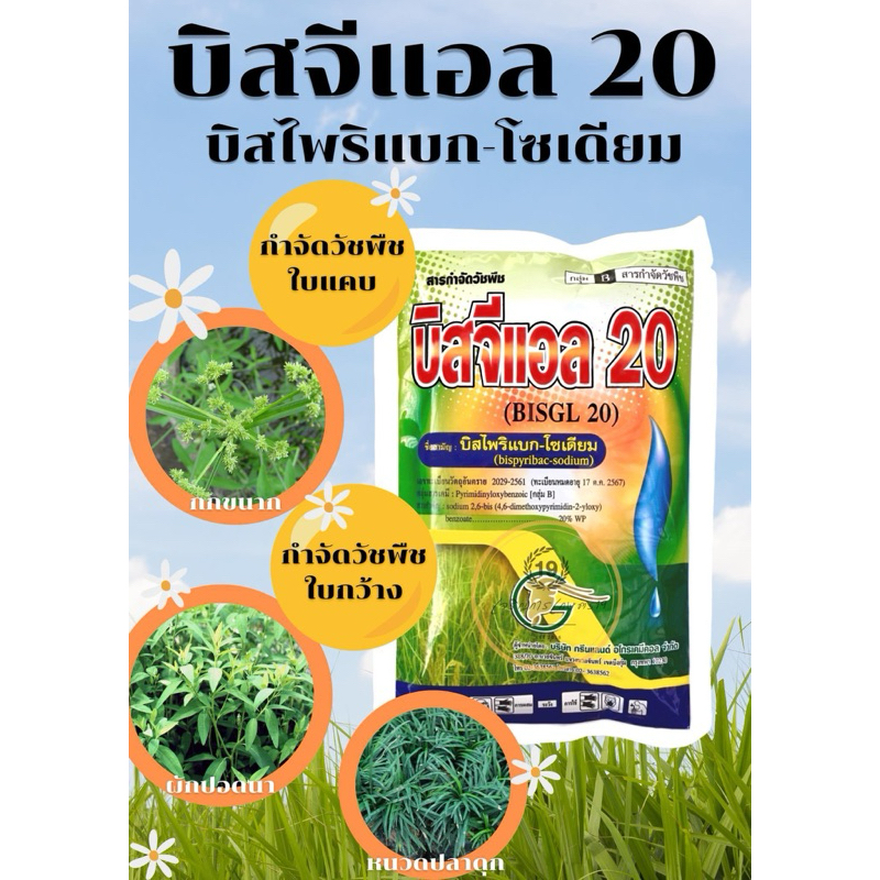 บิสจีแอล🌾สารบิสไพริแบค-โซเดียม(bispyribac-sodium) 20%WP ขนาด 100กรัม กำจัดหญ้าในนาข้าว