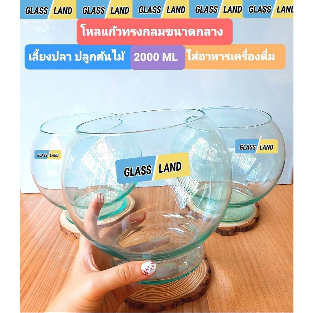 โหลแก้วกลมใส่ปลา ขนาด 7 นิ้ว [พร้อมส่ง 2000 ML] โหลแก้วกลมมีฐานแก้ว โหลแก้วเลี้ยงปลา โหลแก้วปลูกพลูด่าง ไผ่กวนอิม โหลแก้