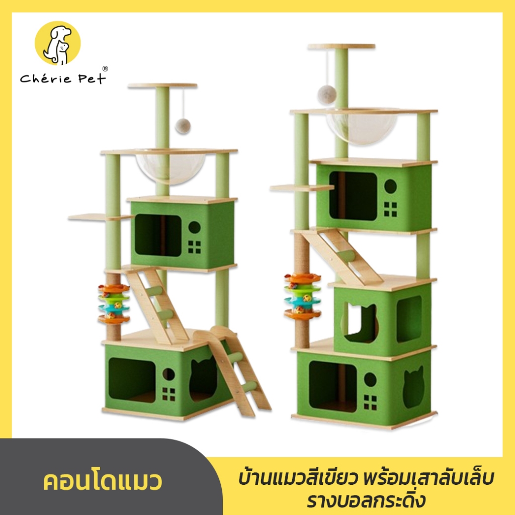 Cherie Pet シ คอนโดแมว รางบอล บ้านแมว แบบไม้ สีเขียว เสาลับเล็บ พร้อมที่นอน และของเล่นแมว สูง 137 - 153 CM