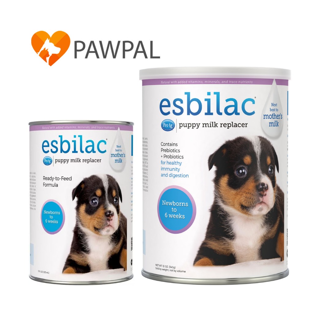 Esbilac PetAg 11 oz 325 ml & Powder 12 oz 340 g Exp.8/2025 เอสบิแลค นมลูกสุนัข นมผง แบบน้ำ ทดแทนนมแม่ พร้อมดื่ม ทานง่าย