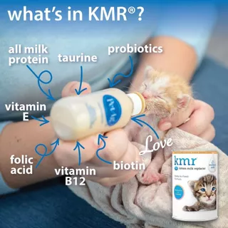 KMR Kitten Milk Replacer 11 oz 325 ml PetAg 🔥Exp.2027 นมทดแทน นมลูกแมวแรกเกิด นมลูกแมวกำพร้า