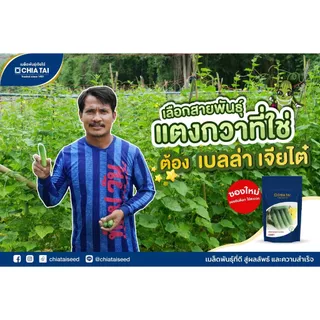 แตงกวาเบลล่า เมล็ดพันธุ์แตงกวา 50 ก. ตราเจียไต๋ ผสสีเขียว ยาว 12 ซม.​