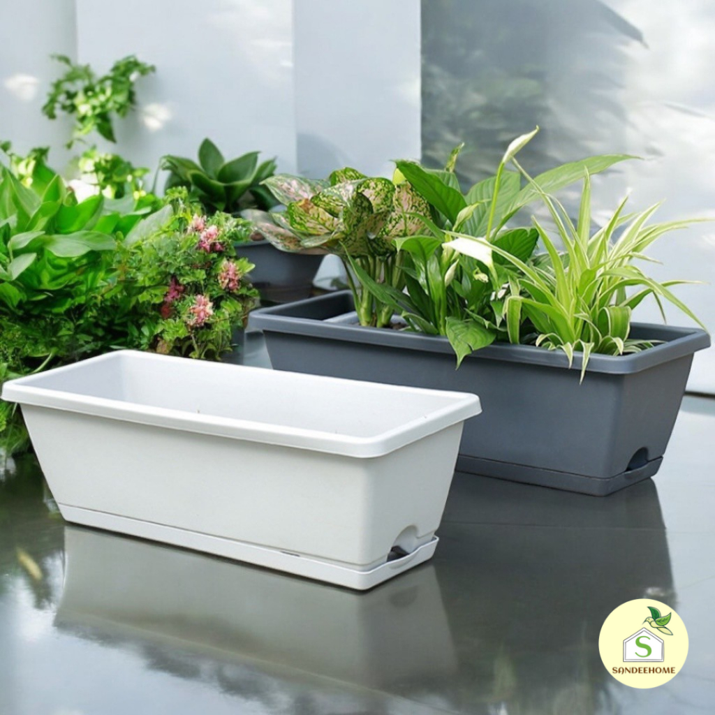 กระถางปลูกผักปลูกต้นไม้ ทรงยาวมีถาดรอง สี่เหลี่ยม ดอกไม้  กระบะปลูกผัก พร้อมส่ง - รูปที่ 3