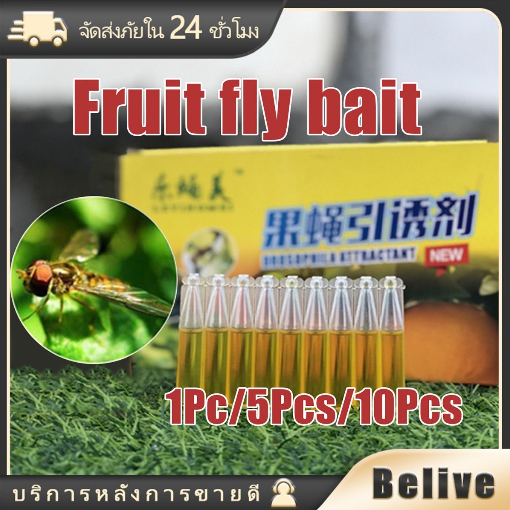 10หลอด สารล่อแมลงวันทองเมทิลยูจินอล สำหรับ หนอนเจาะผลไม้ พริก มะเขือ แปลงเกษตร สวนผลไม้