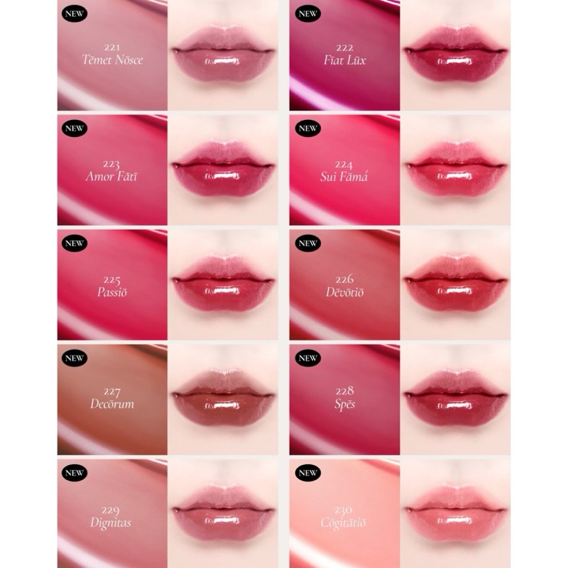 [พร้อมส่ง/จัดส่งไว] Dinto Blur-Glowy Lip Tint ลิปทินท์เนื้อฉ่ำวาว ราคา ถูกที่สุด ดีลบีเคเค แกลเลอรีภาพที่ 5