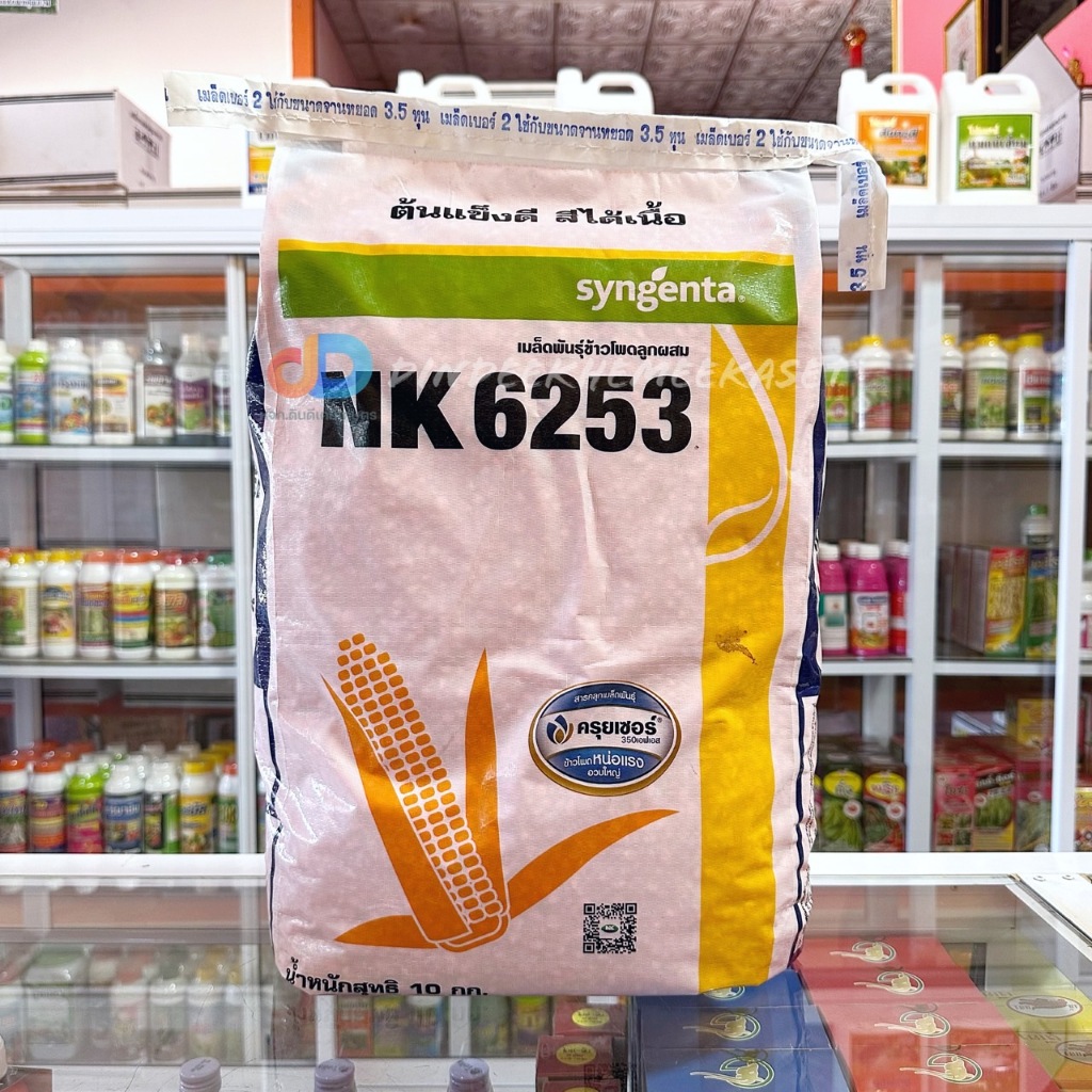 เมล็ดพันธุ์ข้าวโพด NK 6253 : ขนาด 10 กิโลกรัม (3.5หุน) ยืนต้นดี ต้นแข็งดี สีได้เนื้อ !!!