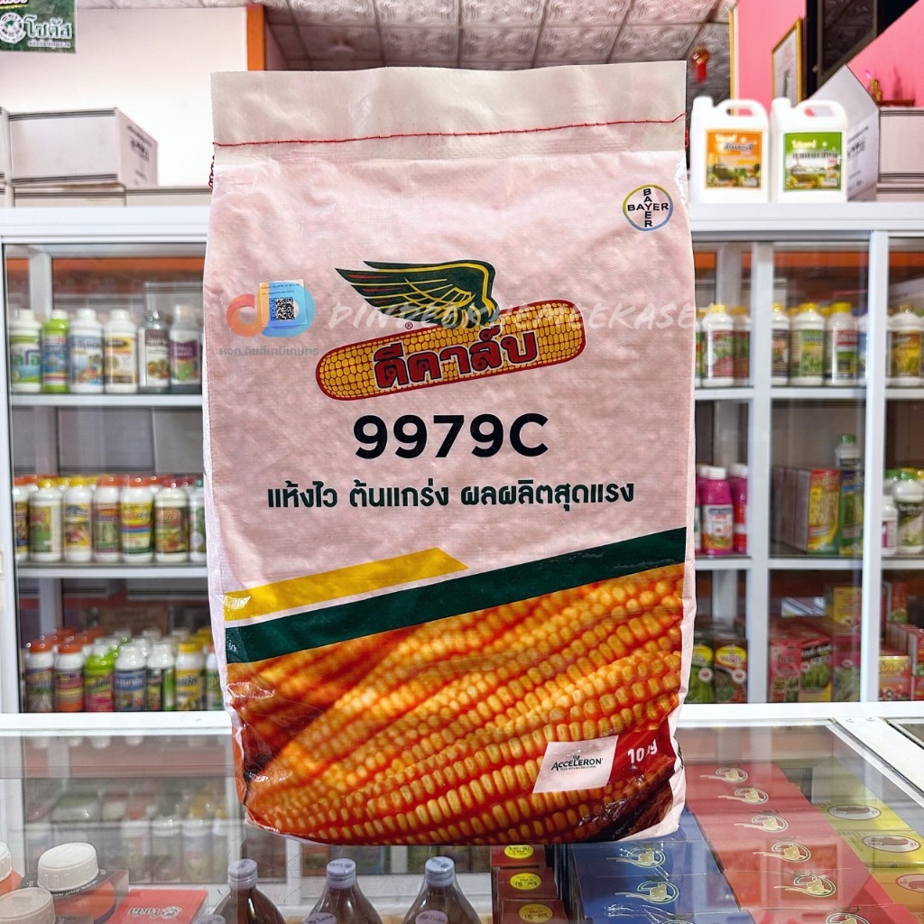 เมล็ดพันธุ์ข้าวโพดดีคาร์บ 9979C : 10 กก.3.5หุน แห้งไว ต้นแกร่ง ผลผลิตสุดแรง