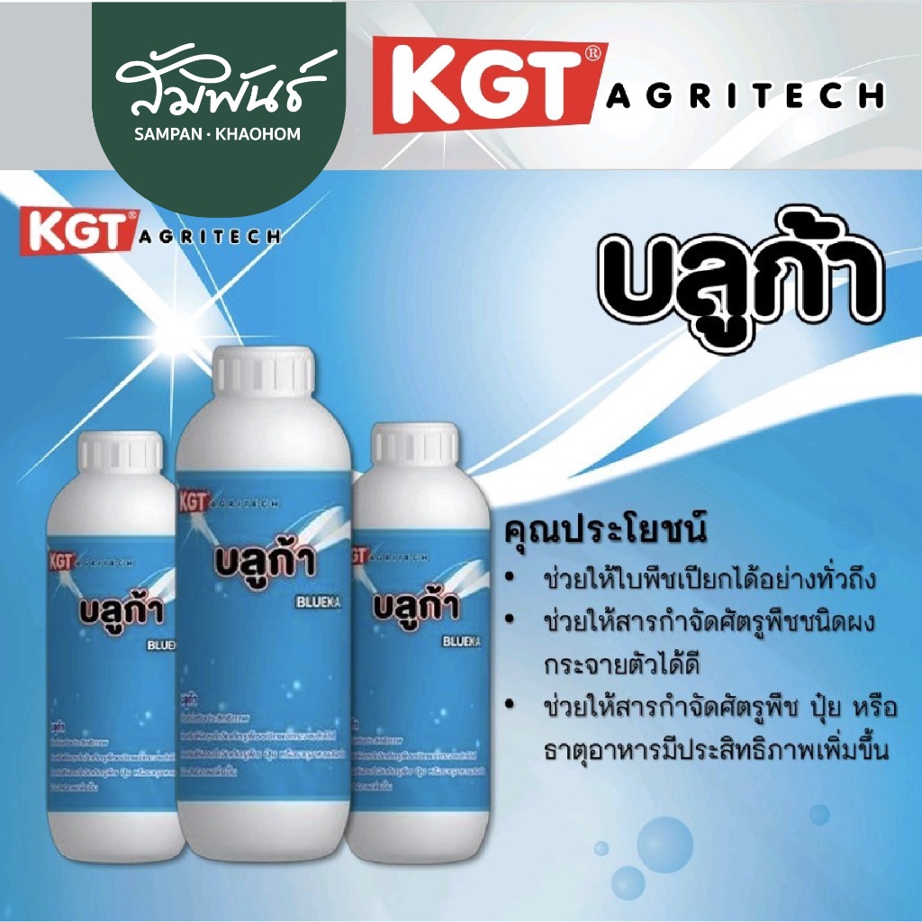 บลูก้า  KGT ยาจับใบ สารจับใบ ปรับสภาพน้ำ ยาทุเรียน