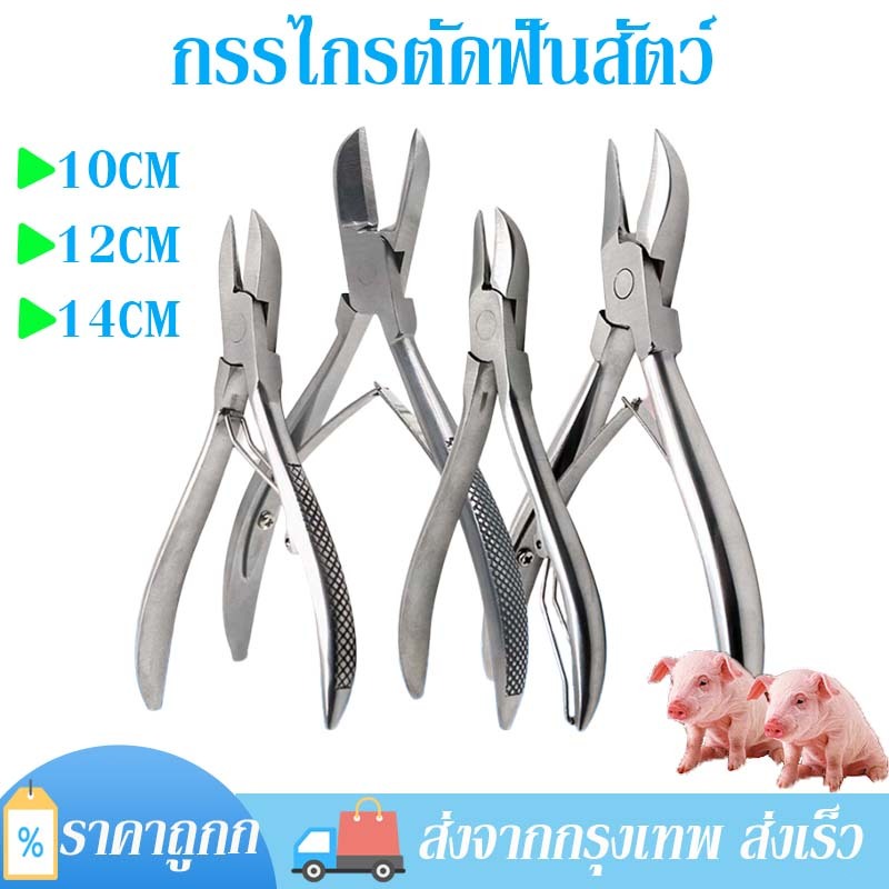 กรรไกรตัดฟันหมู ตัดฟันกระต่าย คีมฟันลูกหมู ป้องกันการกัด สแตนเลส ด้ามจับกันลื่น ขนาด 10ซม/12ซม/14ซม