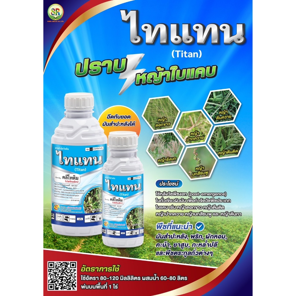 ไทแทน คลีโทดิม ยาฆ่าหญ้า ยาฆ่าหญ้าใบแคบ สารกำจัดวัชพืชใบแคบ ลูกข้าว สำหรับพืชปลูกใบกว้าง (สินค้าผลิตใหม่จากบริษัทซิกม่า)