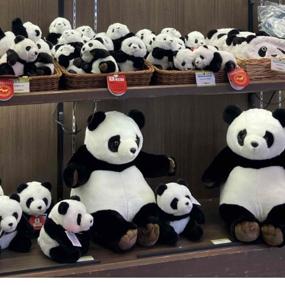 ( New ✨ พร้อมส่ง ) ตุ๊กตาหมีแพนด้า Rare ★  Ueno Tama Zoo Panda Bear Plush Tokyo Zoological Park From