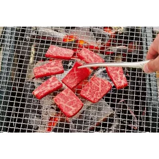 ✅พร้อมส่ง+โค้ดลด20-25%✅ Todai Stainless Steel Clever Tongs ทีคีบ ปิ้งย่าง BBQ 📌Made in Japan📌