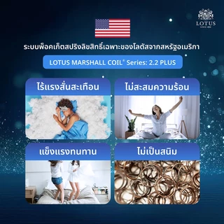LOTUS ที่นอนสุญญากาศ พ็อกเก็ตสปริงเสริมยางพารา รุ่น Asleep ดีไซน์แบบไร้ขอบ ส่งฟรี