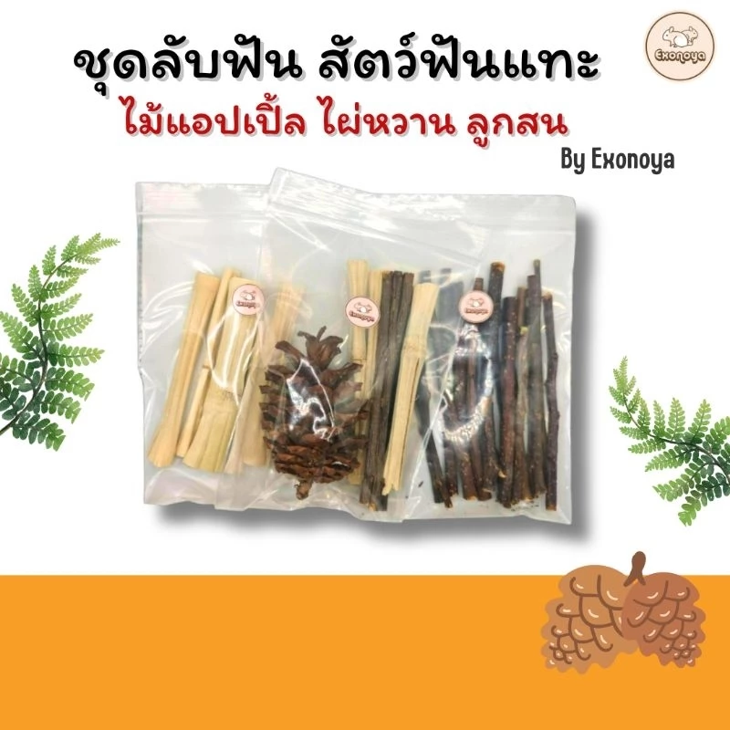 [Exonoya] ชุดลับฟันธรรมชาติ 100% ไม้แอปเปิ้ล ไผ่หวาน ลูกสน วอลนัท ของเล่นลับฟัน ลดความเครียด