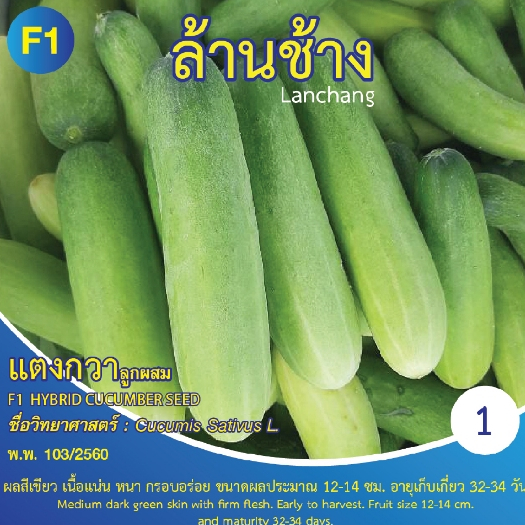 เมล็ดพันธุ์ แตงกวาล้านช้าง บรรจุ 1 กรัม