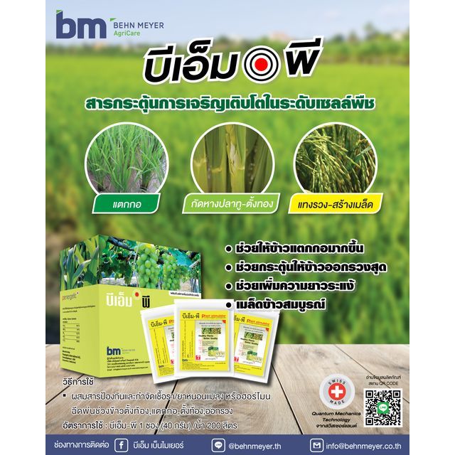 บีเอ็ม-พี (𝐁𝐌-𝐏) ขนาด 1 ซอง 40 กรัม สารกระตุ้นการเจริญเติบโต(ช่วยบังคับให้พืชกินสารอาหารได้มากขึ้น)