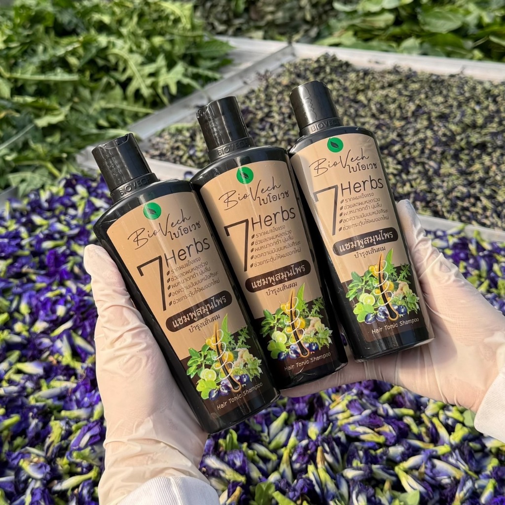 แชมพูสมุนไพร ไบโอเวช (Biovech) ของแท้