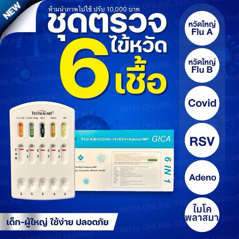 ชุดตรวจ 6 เชื้อ RSV ไมโคพลาสมา หวัดใหญ่ab อะดีโน โควิด [1กล่อง] GICA กีก้า6in1 ชุดตรวจไข้หวัด ชุดตรว