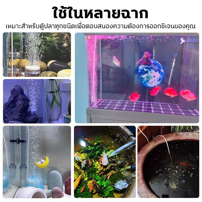 รูปภาพ 3