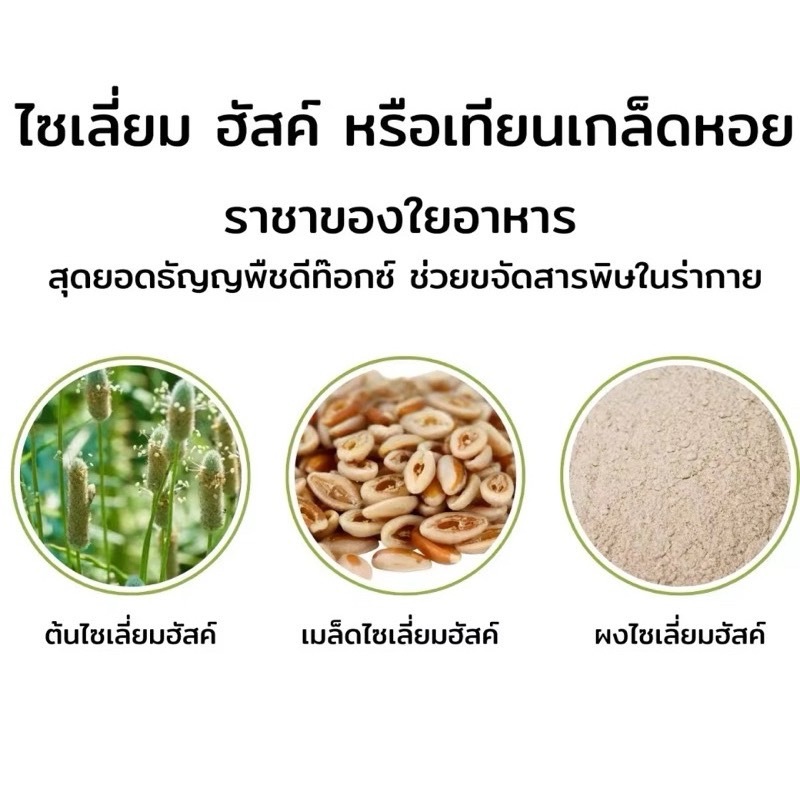 Psyllium Husk 100% + แก้วเขย่า 💥ไซเลี่ยมฮัสก์แบบเกล็ด ส่งฟรี 💥 [ขนาด.100g]ไฟเบอร์ ช่วยปรับสมดุลลำไส้ - รูปที่ 3