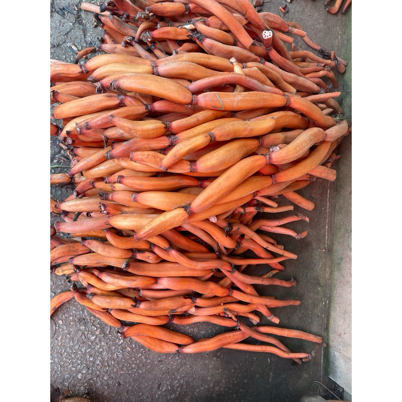 รากบัวไทยสด จากบึงบอระเพ็ด - รูปที่ 3