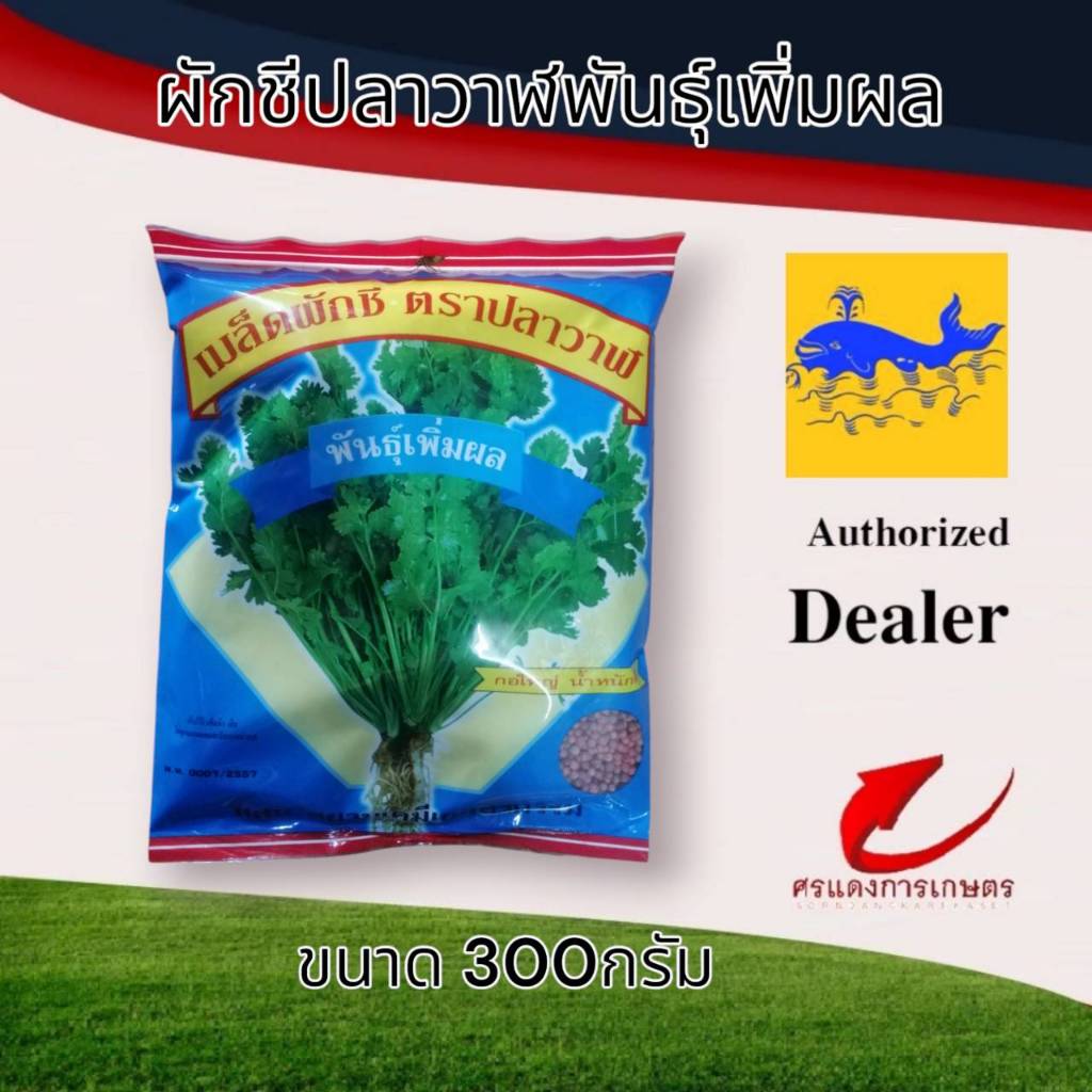 ผักชีเพิ่มผลปลาวาฬ 300g