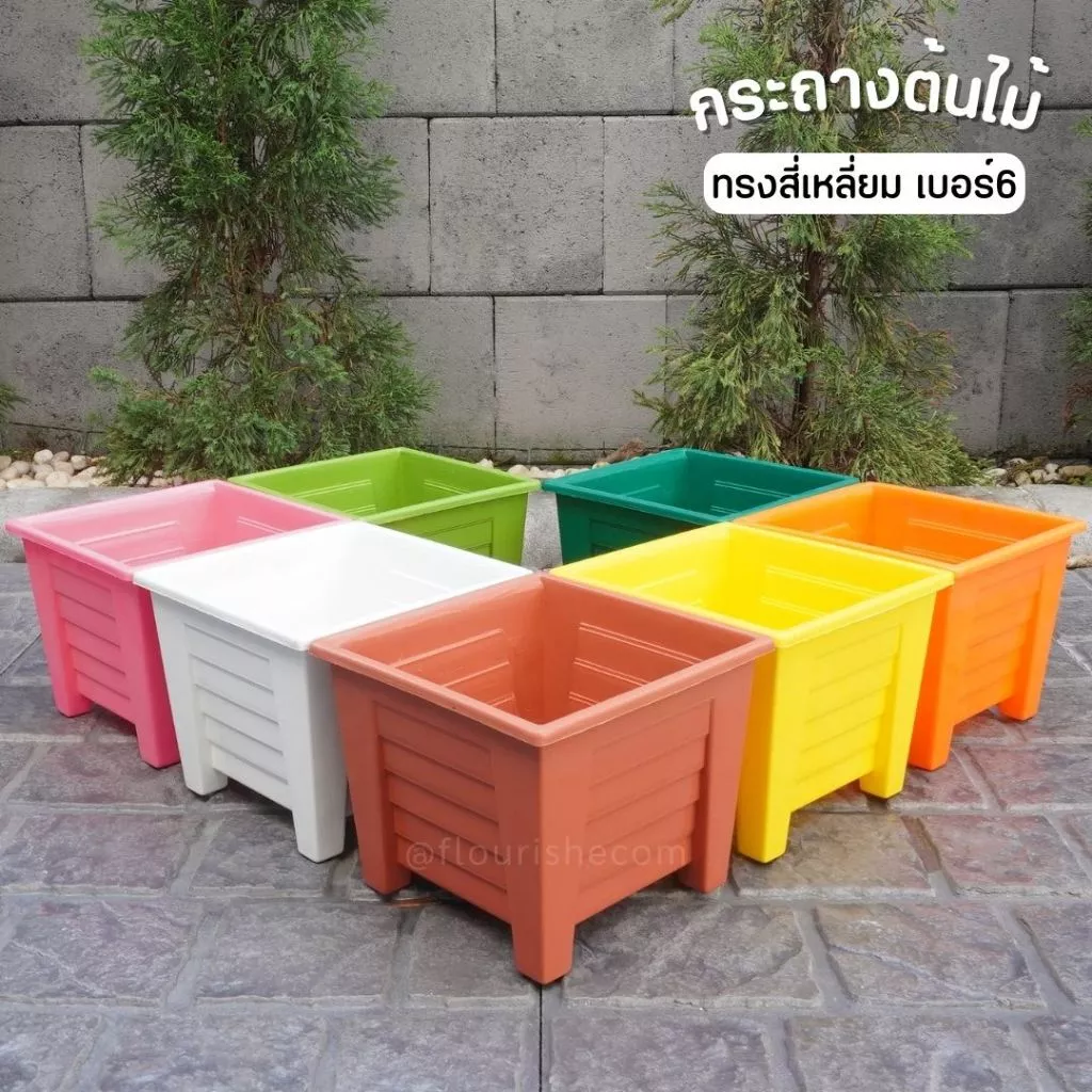 กระถางเหลี่ยม 6นิ้ว กระถางต้นไม้สี่เหลี่ยม 6นิ้ว สีสดใส กระถางต้นไม้