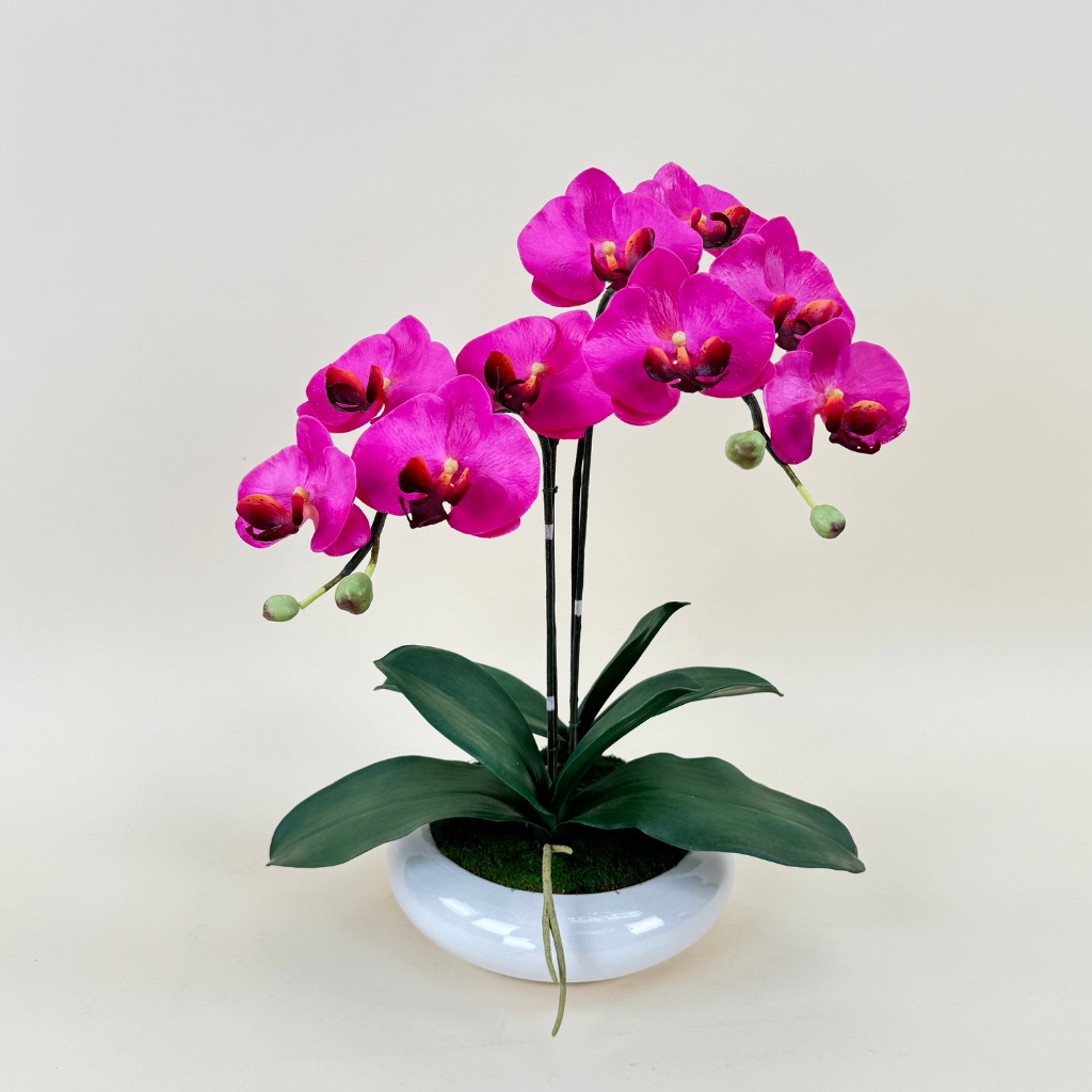 OrientalFineArt ดอกกล้วยไม้ปลอม phalaenopsis orchid plant flower pot arrangement