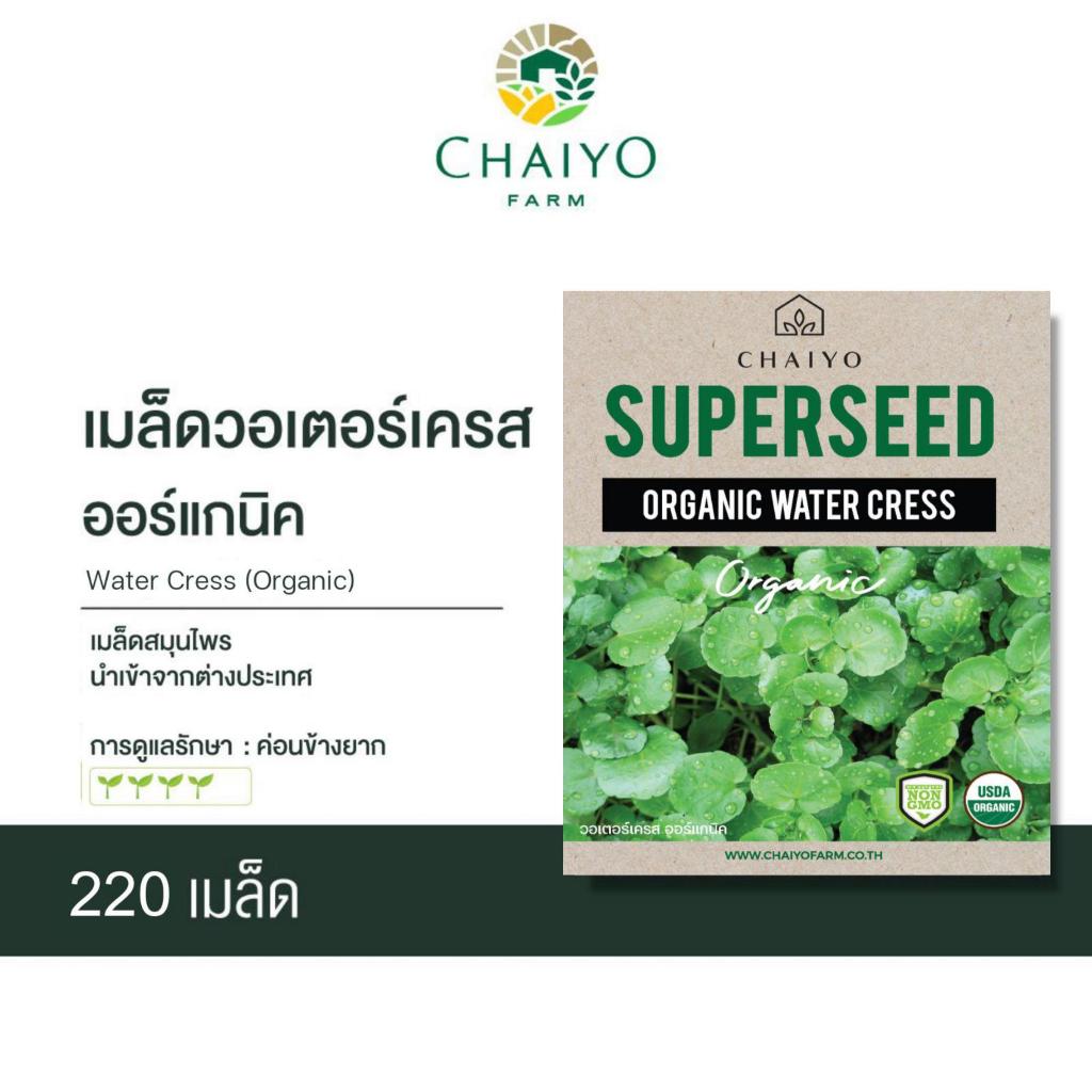 เมล็ด WATER CRESS (Organic) วอเตอร์เครส ออร์แกนิค
